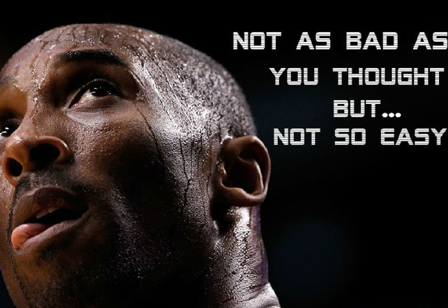 事实核查 事实核查